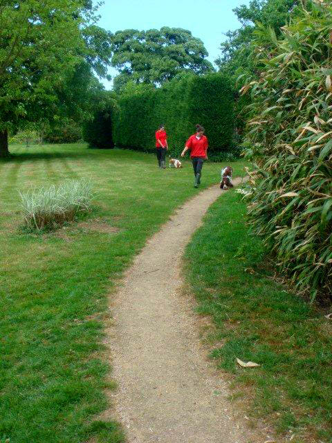Walking Dog in the Grounds of Clifftop Boarding Kennels and Cattery Walking Dog in the Grounds of Clifftop Boarding Kennels and Cattery